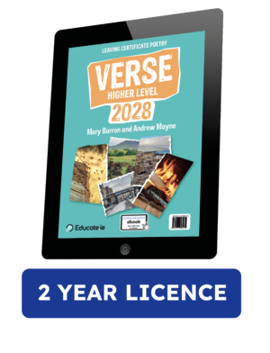 Verrse HL 2028 2 Year License.